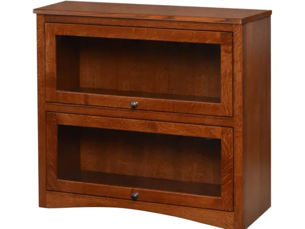Lawyers 2 Door Bookcase